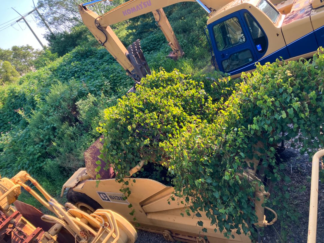 1974 CATERPILLAR 613 - Image 43